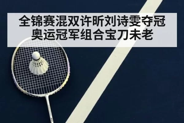 全锦赛混双许昕刘诗雯夺冠 奥运冠军组合宝刀未老