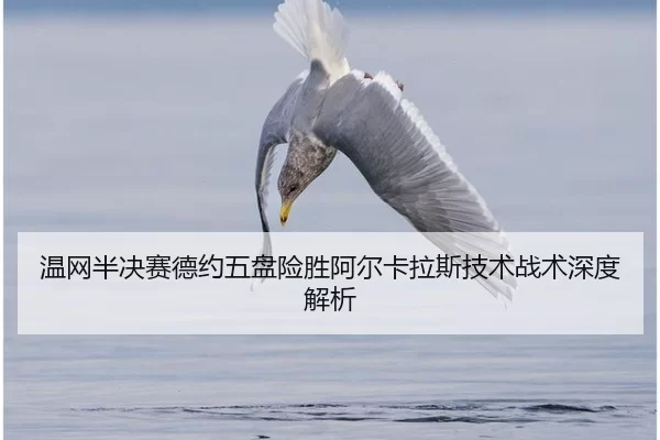 wen-wang-ban-jue-sai-de-yue-wu-pan-xian-sheng-a-er-ka-la-si-ji-shu-zhan-shu-shen-du-jie-xi-3-546.jpg
